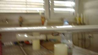 Mpx Royal Pro9 4 Klappen Segler