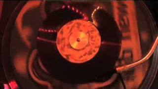 Watch Mad Cobra Plant It video