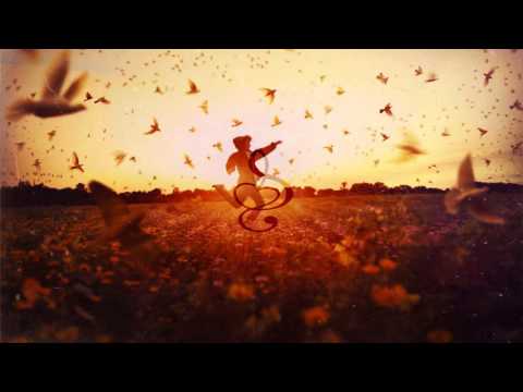 Falling Video