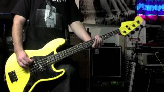 Video thumbnail of "Bad Religion-Punk Rock Song ( Bass cover"