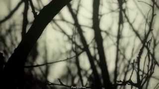 J.Tillman - Firstborn