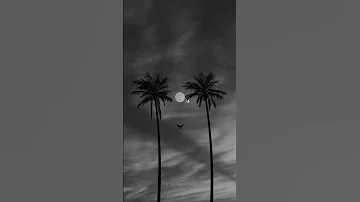 قلا يا هوى ضحكاتا دواء Use Headphones حالات واتساب ستوريات حب 