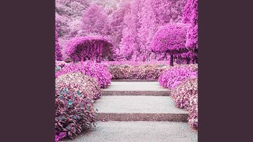 Mellow Chill Hop Jazz - Vibe for Planned Changes