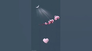 سورة الكهف الْحَمْدُ لِلَّهِ الَّذِي أَنْزَلَ عَلَى عَبْدِهِ الْكِتَابَ وَلَمْ يَجْعَلْ لَهُ عِوَجًا