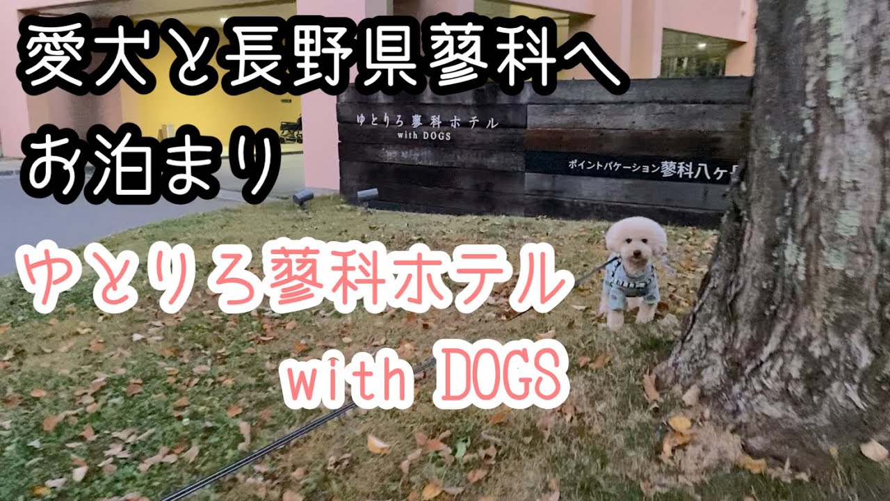 愛犬と長野県蓼科へお泊まり　「ゆとりろ蓼科ホテル with DOGS」