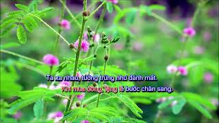 Vắng nhau mùa đông - Karaoke