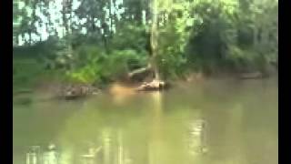 Rope swing on the Gasconade river.