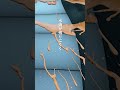 3秒でわかるコーティングの違い #shorts