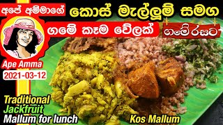  කොස් මැල්ලුම් සමග ගමේ කෑම වේලක් Traditional jack fruit Mallum / Kos mallum by Apé Amma