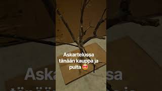 askartelua #kauppa #schleichhorse #trees