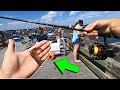 FLORIDA Pier Fishing With LIVE SHRIMP For Multiple Species of Fish!