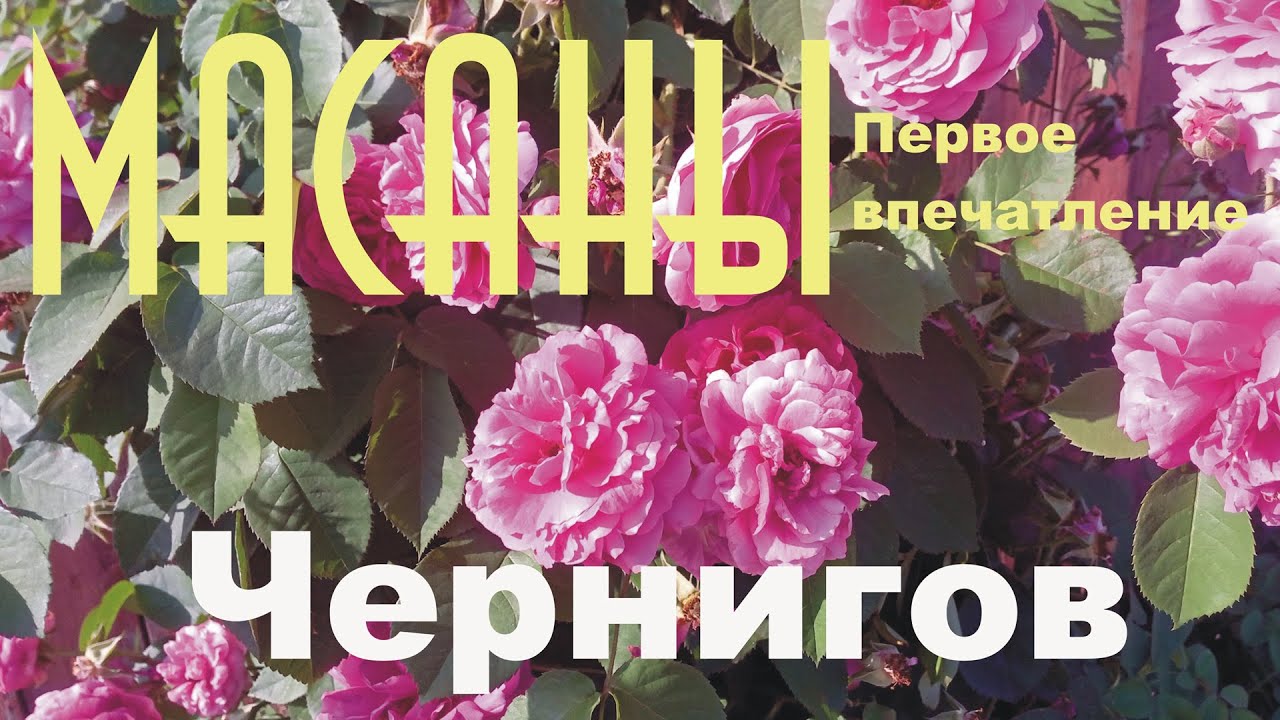 Чернигов  Район Масаны  Первое впечатление