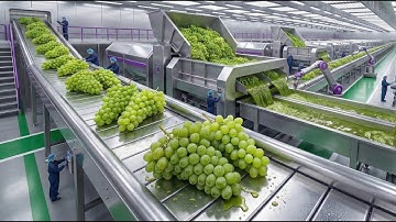 Inside a modern grape processing factory: From raw grape bunches to delicious grape juice