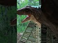 girl hide dinosaur in pyramid hut