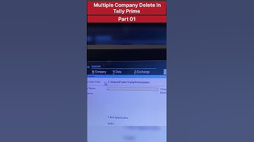 Part 01 | Multiple Company delete Tally Prime
