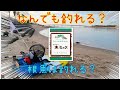 【二馬力】新舞子へ！生ミックで根魚は釣れるのか！？コンパクトカヤックで挑戦！冬の海は綺麗✨