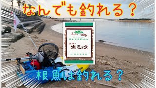 【二馬力】新舞子へ！生ミックで根魚は釣れるのか！？コンパクトカヤックで挑戦！冬の海は綺麗✨
