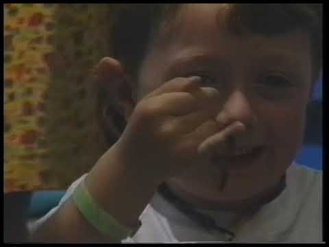 Clark Fork School Insects