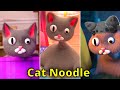 Cat Noodle and Bun. Cat Noodle NEW TikTok Compilation