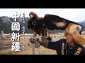 【中國新疆】廖科溢從巴紮文化認識絲路！哈薩克馴鷹術！｜China／Xinjiang／Silk Road／Bazaar Culture／Falconry｜#廖科溢