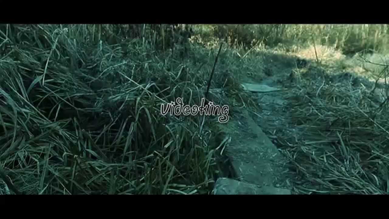 STAFF (GUFI) VIDEOKING