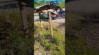 bensin eceran #shorts #shortvideo #bensin #bensineceran #viral