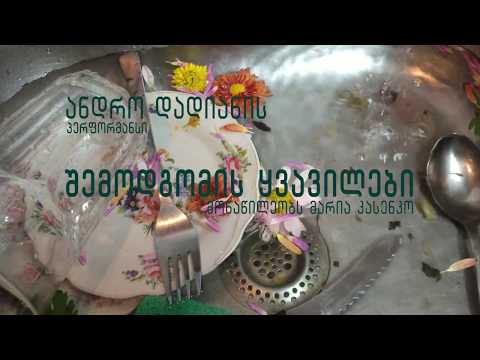 ანდრო დადიანი - შემოდგომის ყვავილები