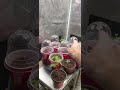 solocup challenge overgrow 2025