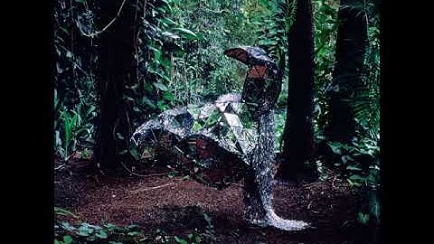 CSS - Rat Is Dead (Rage) Legendado