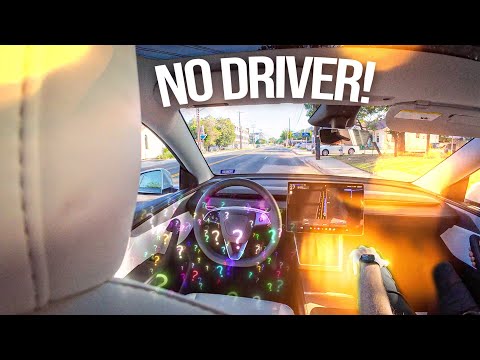 Driverless Tesla Robotaxi
