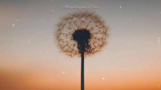 Jack Strify - Just an ilusión [Subtitulado]