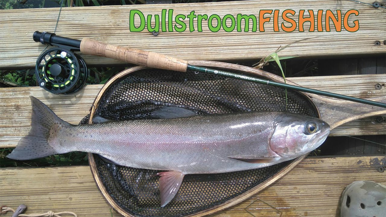 Elandskloof & Millstream Fly Fishing In Dullstroom For Rainbow Trout