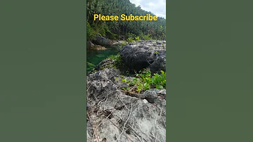 NAMANGHA ANG BIDA 