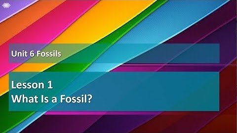 Unit 6 Lesson 1 Exploration 1