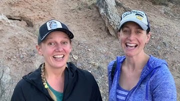 Behavioral Observations Module