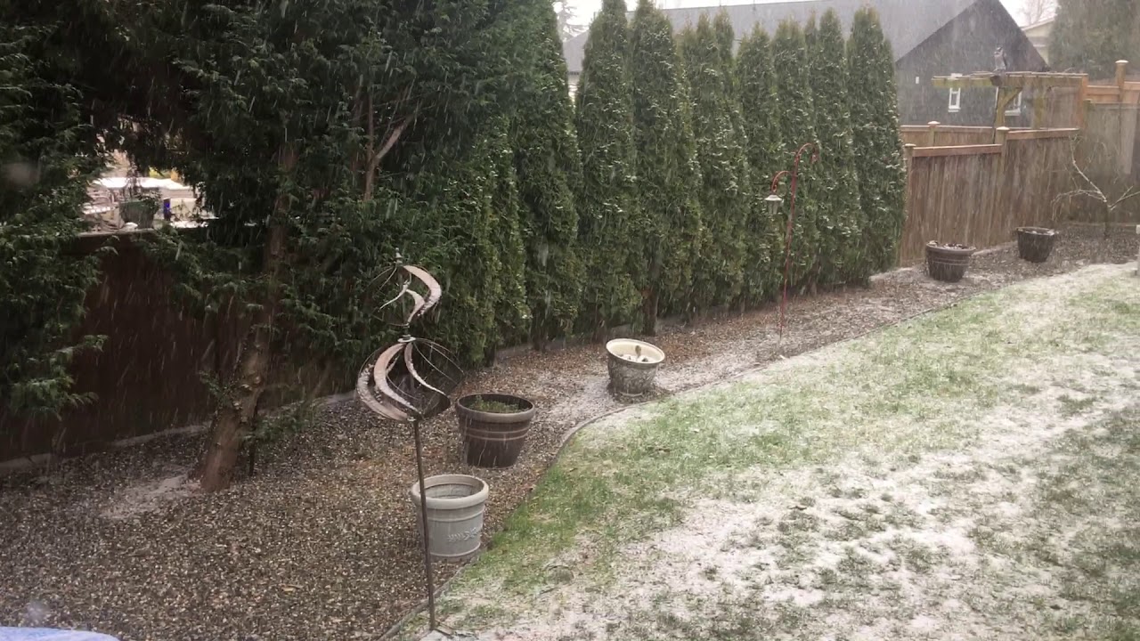 Snow in Blaine YouTube