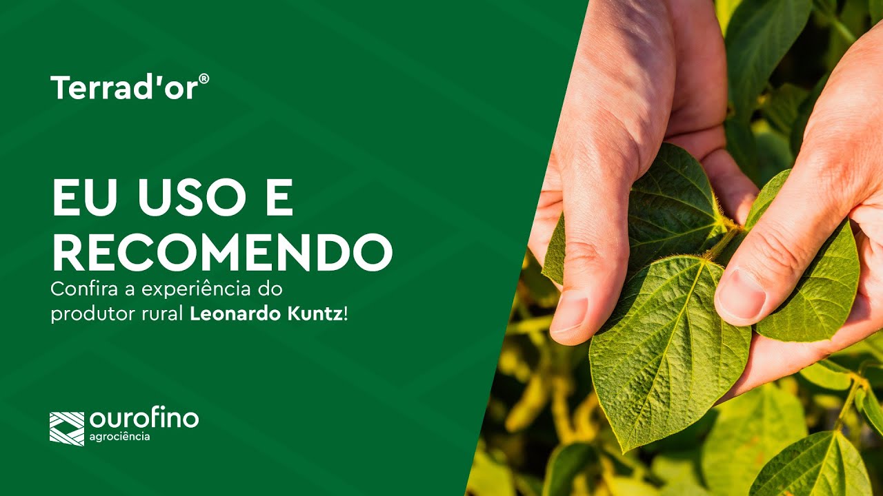 Terrad’or® em ação | Implacável contra o azevém na soja!