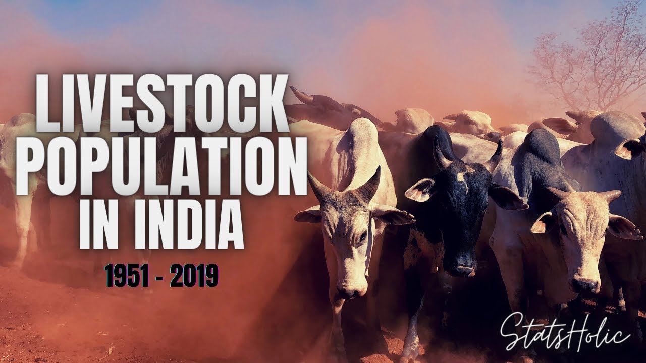 Livestock Population in India by Species Animal Husbandry Statistics