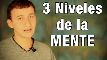 ¿Cuáles son los 3 niveles de la mente humana?