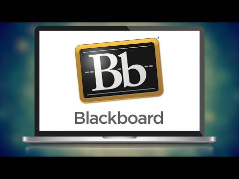 Introduction to USC Blackboard for Students