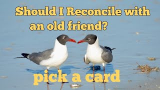 Should I reconcile with an old friend? [pickacard]