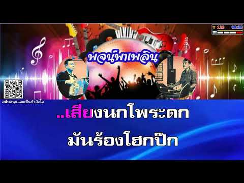 โพระดก คาราโอเกะ เพ็ญศรี พุ่มชูศรี  C