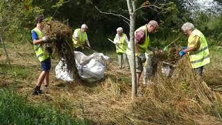 Workday on Brook Meadow - 18 08 22