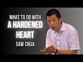 The Plagues of Egypt (Part 3) | Exodus 8:20-9:29 | Sam Chua