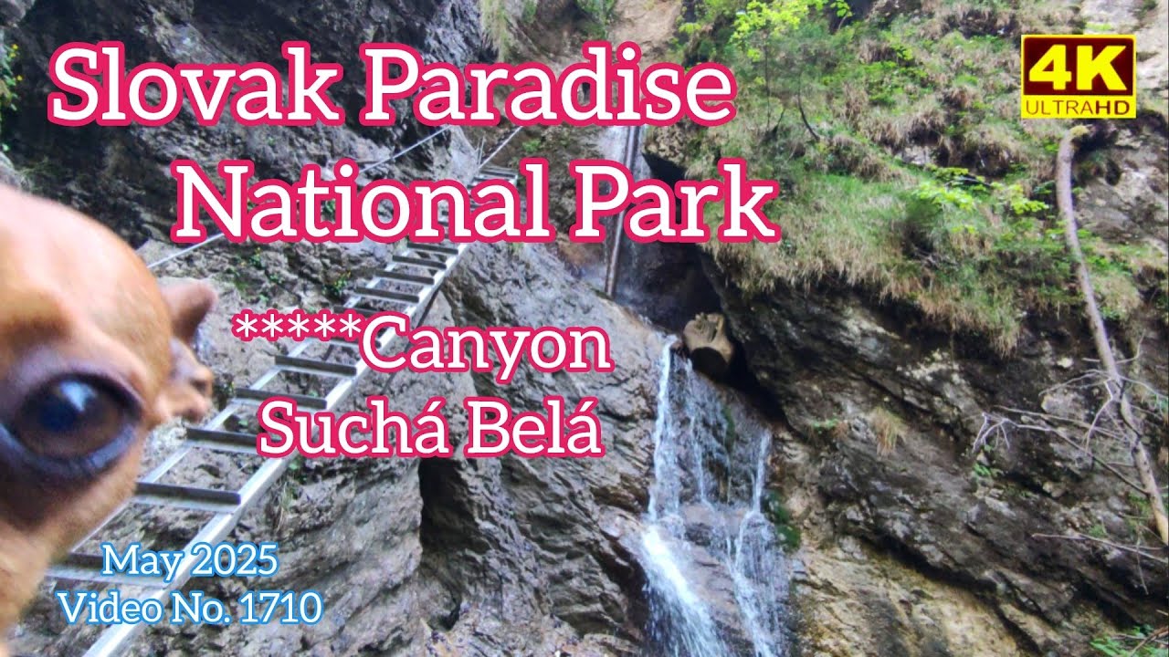 Slovak Paradise National Park ( Slovenský Raj ) - Hiking Canyon Suchá Belá