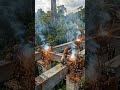 Building a Massive Eco-Highway Above the Rainforest #timelapse #architecture #timelapsebuild