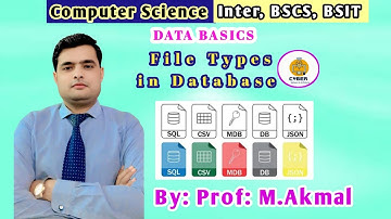 What are DIFFERENT File Types in Database? Computer Science Inter, BSCS, BSIT 