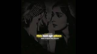 Şewe Reşe Cejno Whatsapp Durumları Için Kürtçe Şarkı Kısa Video