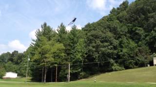 Blade 450X 3rd flight