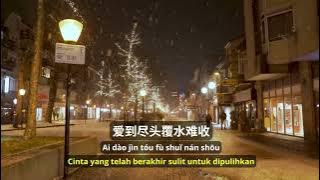 Rang Wo Huan Xi Rang Wo You《让我欢喜让我忧》-  周華健 Emil Chau/Wakin Chau [SubIndo/Pinyin Lyric & terjemahan]